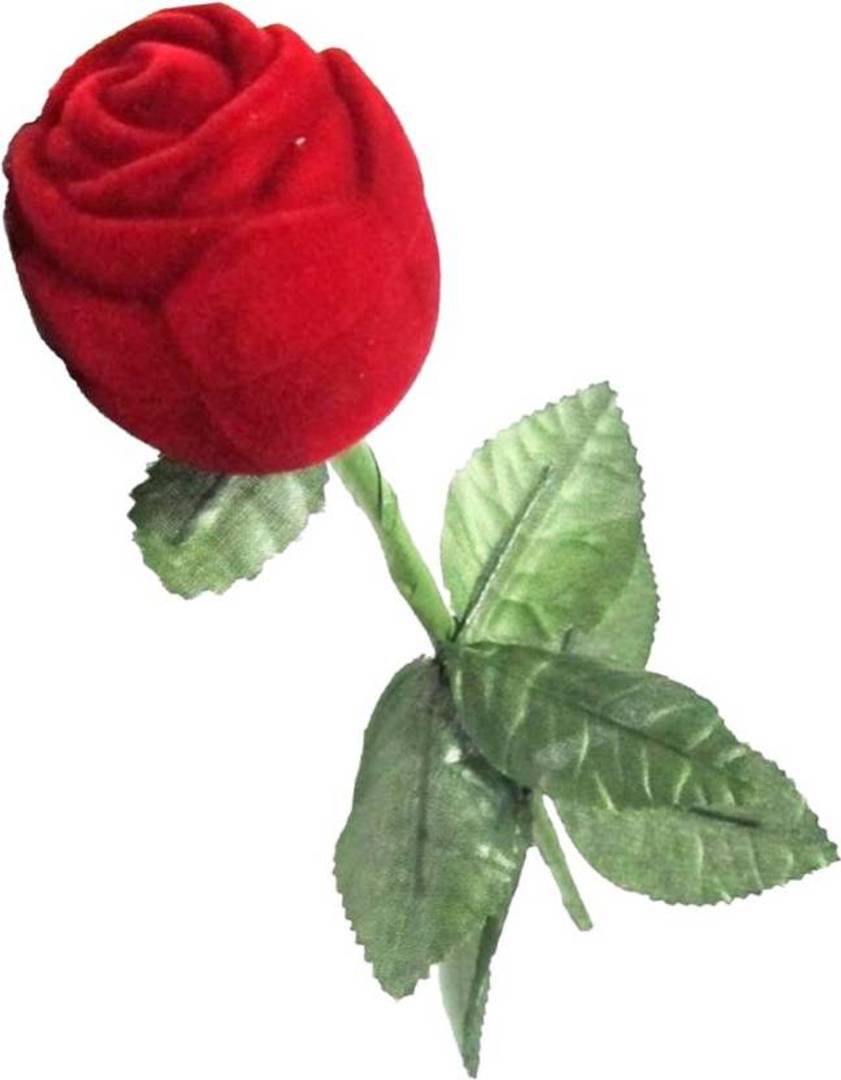Red Rose Ring Box With Elegant Ring For Valentine Ring Gift Set