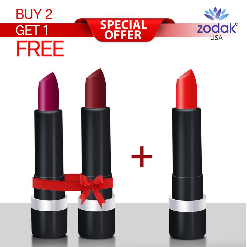 Retro Matte Lipstick ZL1011 (Buy 2 Get 1 Free)
