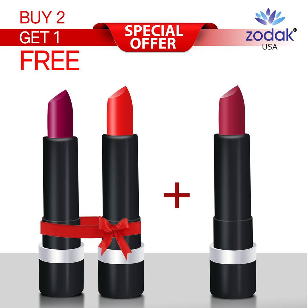 Retro Matte Lipstick ZL1011 (Buy 2 Get 1 Free)