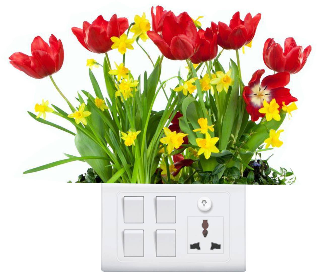 Beautiful Multi-Color Flowers Amazing Switch Board 3 Inch