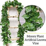 Artificial Money Plant Hanging Greenery Window Decoration (Set of 6)