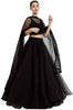 Ramcrupa Creation Women's soft net fashion Lehenga Choli (Free Size, Black)