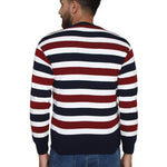 Striped Synthetic Long Sleeves Turtle Neck  Sweaters