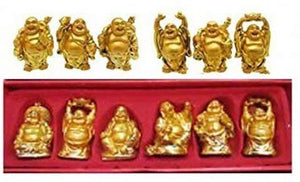 Vaastu Fengshui Laughing Buddha Statues Set Of 6 Piece