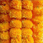 Marigold Flower Mala | Genda Phool Mala (Set Of 8) Wall Hanging | Special Occasion Decoration | Home Decor Pooja | Office | Festival Decorative (4.5 Ft Each) (30 Flower In Each String) Mango Colour